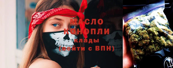 хмурый Арсеньев