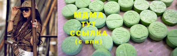 хмурый Арсеньев