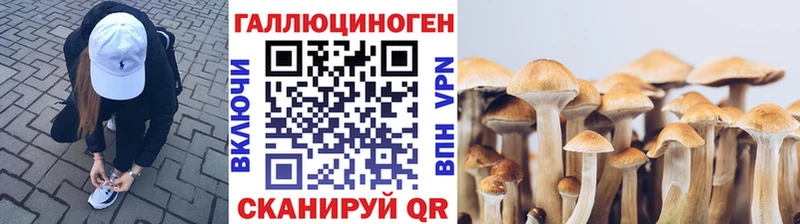 Галлюциногенные грибы мицелий купить наркотик Северо-Курильск